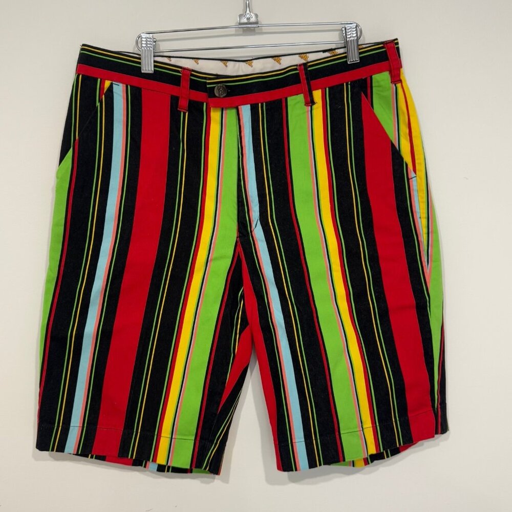 Loudmouth Golf Mens Multicolor Vertical Stripe Shorts Size 34